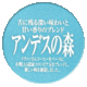 アンデスの森コーヒーシティローストイメージ