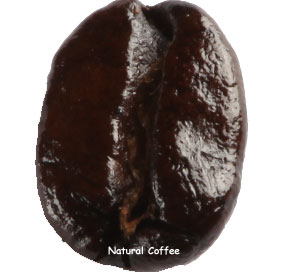 コーヒー豆フレンチロースト