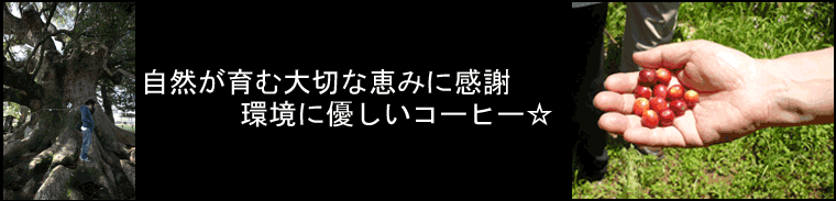 環境に優しいコーヒー豆