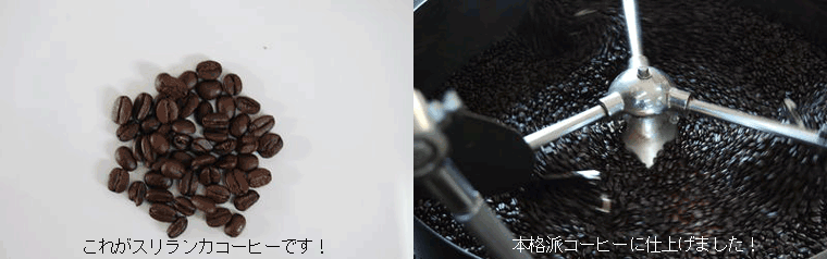Sri Lanka スリランカ・フェアトレードコーヒーの特徴