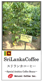 スリランカコーヒーイメージ