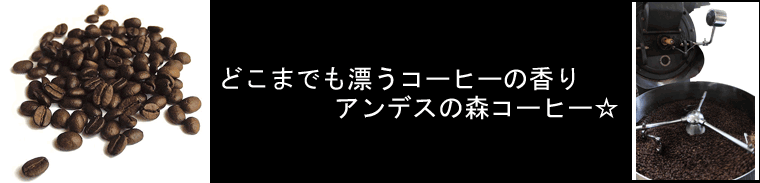 アンデスの森コーヒー豆