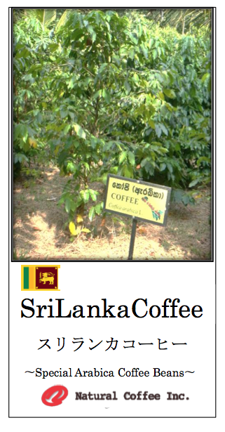スリランカコーヒーしっかりタイプ豆イメージ